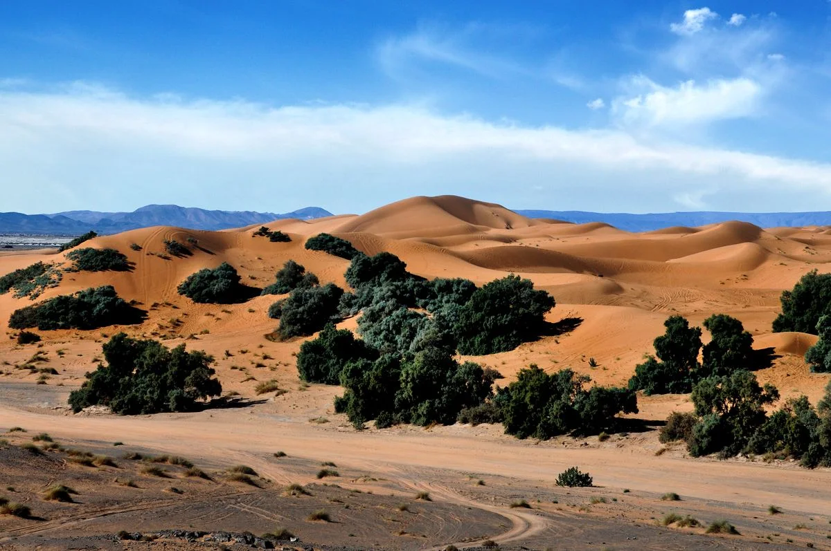Merzouga